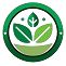 Logo Icon - SBC Bangladesh